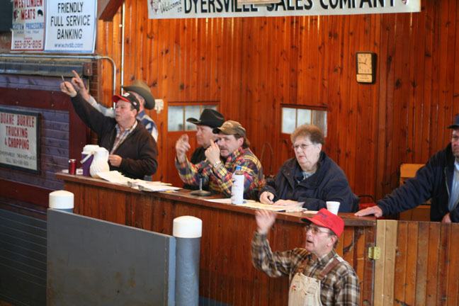 tenn livestock auctions